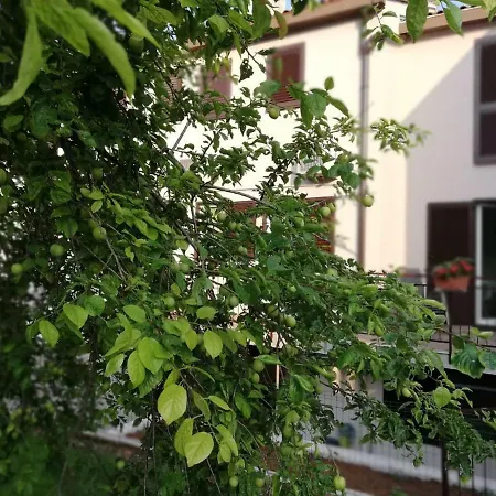 Family Ingrid Διαμέρισμα *